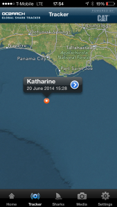 Shark tracking! Luckily, Katherine the great white did not grace us with her presence. 